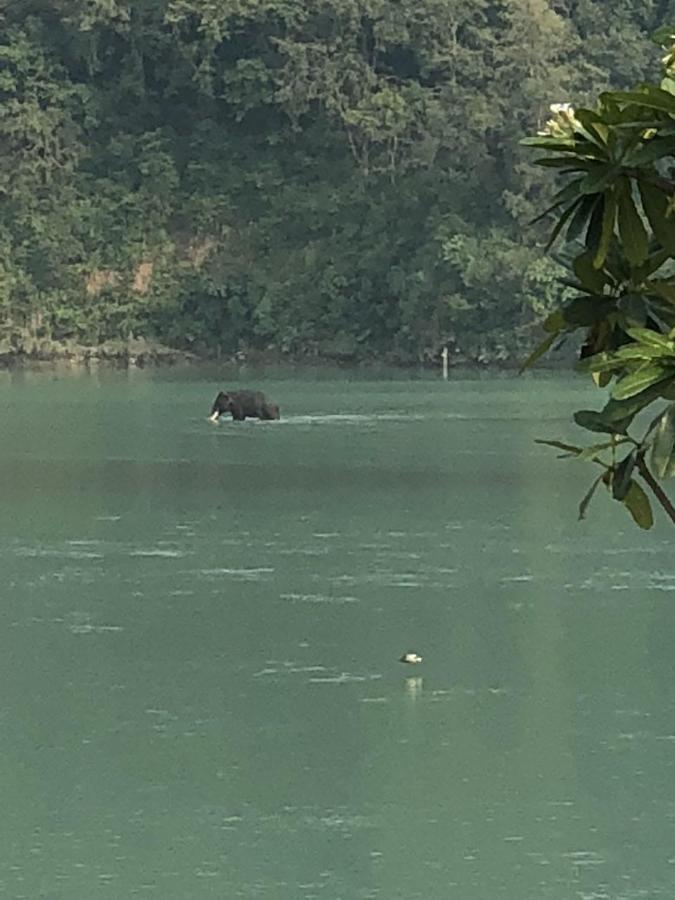 Ganga Forest View ริชิเคช ภายนอก รูปภาพ